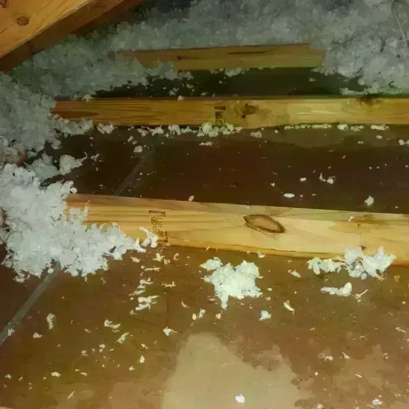 Attic Water Damage in New Paris, IN